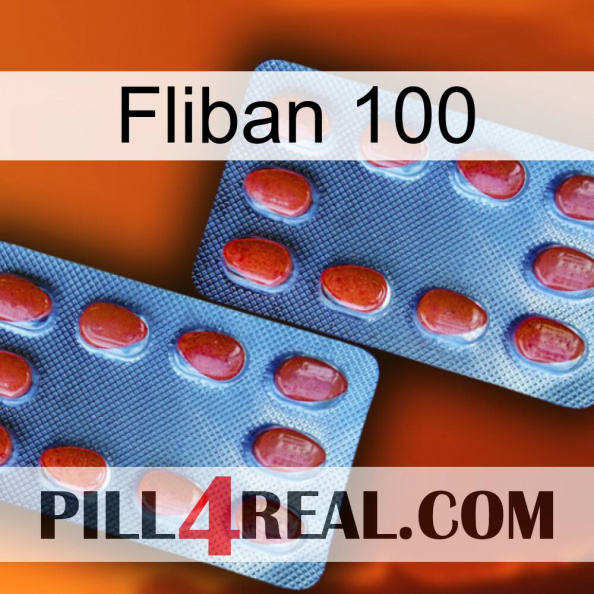 Fliban 100 05.jpg